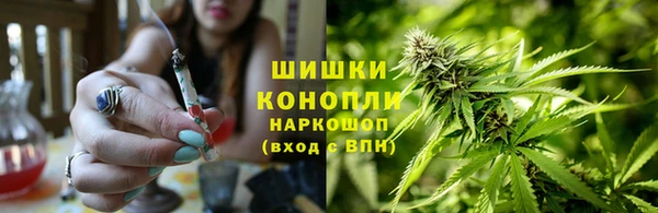 a pvp Абаза