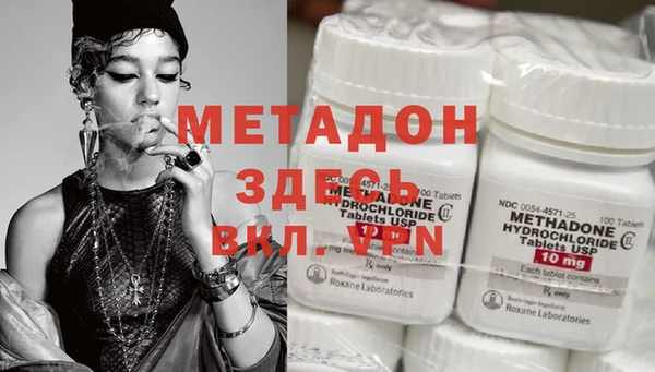 индика Алексин